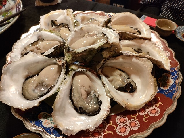 f:id:fuzikoblog:20240513082312j:image f:id:fuzikoblog:20240513082312j:image