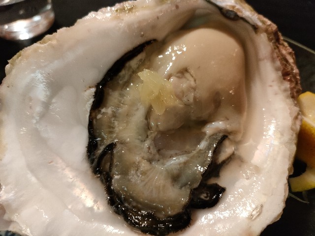 f:id:fuzikoblog:20240513082326j:image f:id:fuzikoblog:20240513082326j:image