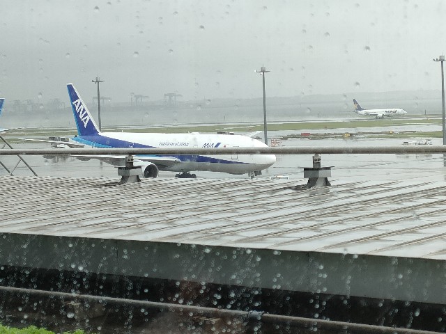 f:id:fuzikoblog:20240513205911j:image