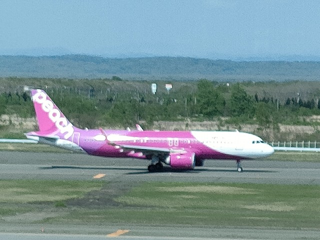 f:id:fuzikoblog:20240520202802j:image f:id:fuzikoblog:20240520202802j:image