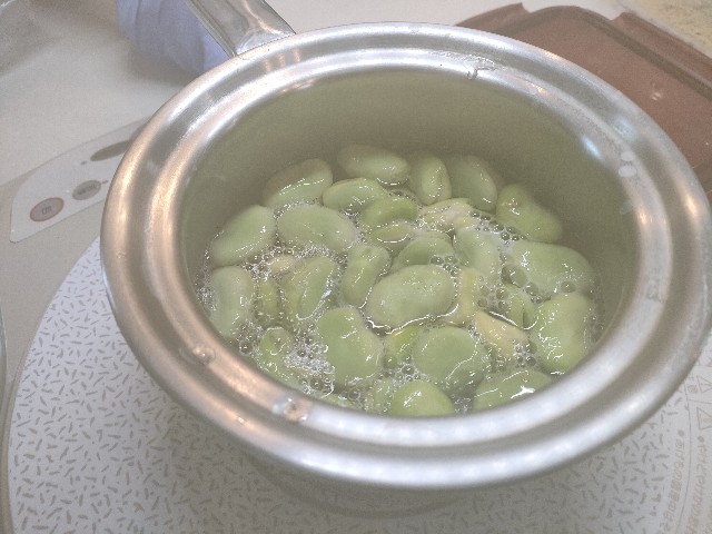 f:id:fuzikoblog:20240523100137j:image