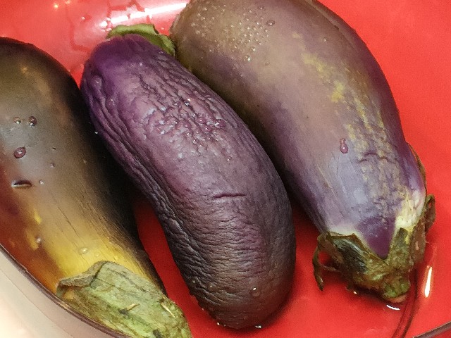 f:id:fuzikoblog:20240523100159j:image