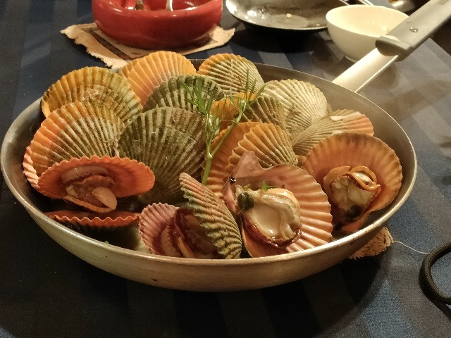 f:id:fuzikoblog:20240527115603j:image