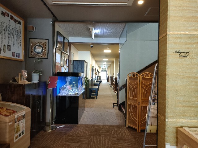 f:id:fuzikoblog:20240829074711j:image