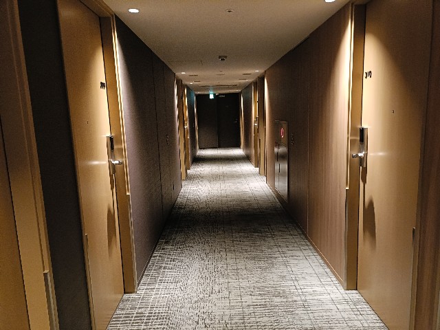 f:id:fuzikoblog:20241105194826j:image