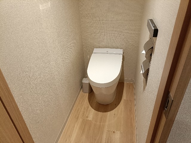 f:id:fuzikoblog:20241105195045j:image