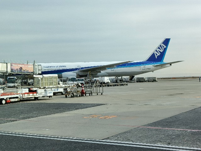 f:id:fuzikoblog:20241214070537j:image