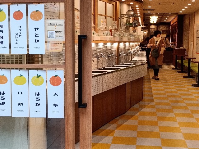 f:id:fuzikoblog:20241214071408j:image