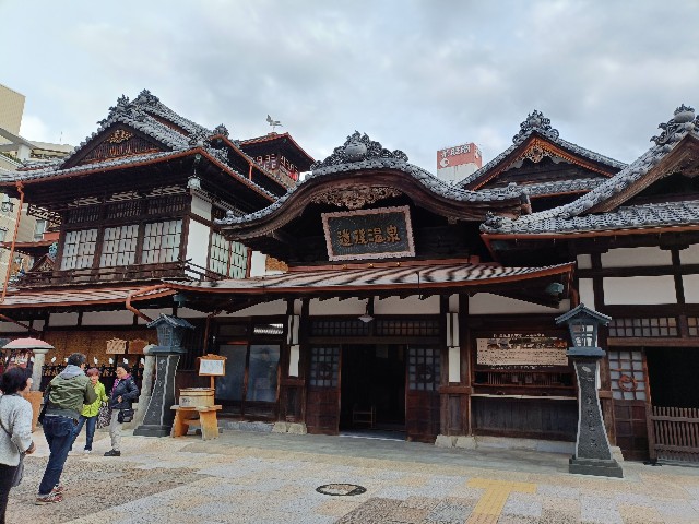 f:id:fuzikoblog:20241214071423j:image