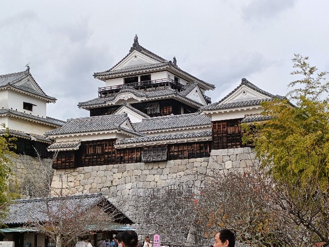 f:id:fuzikoblog:20241214071447j:image