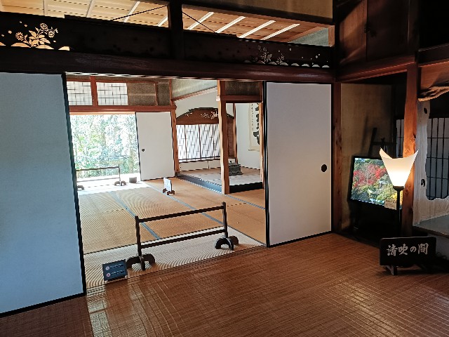 f:id:fuzikoblog:20241214224302j:image