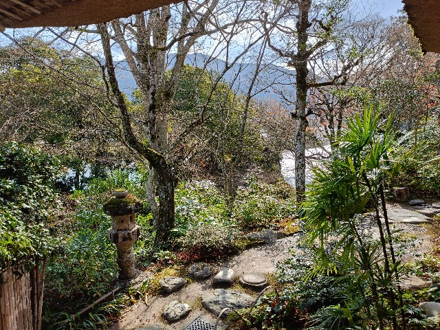 f:id:fuzikoblog:20241214224356j:image