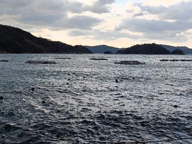 f:id:fuzikoblog:20241216090259j:image