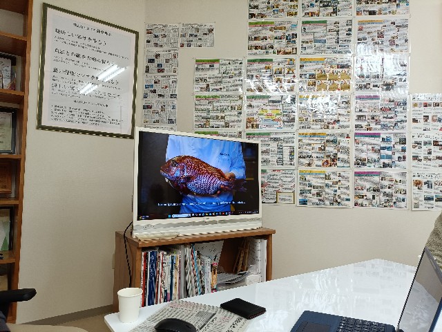 f:id:fuzikoblog:20241216090842j:image