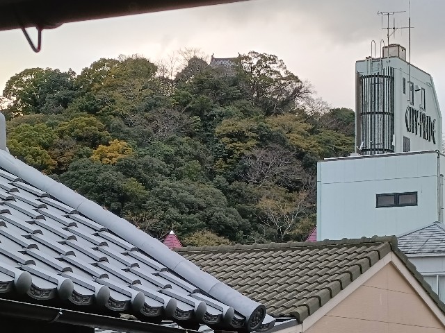 f:id:fuzikoblog:20241216153731j:image