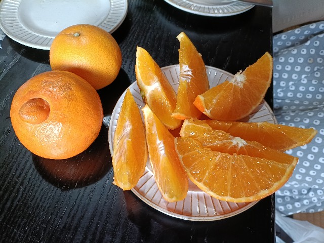 f:id:fuzikoblog:20241216154510j:image
