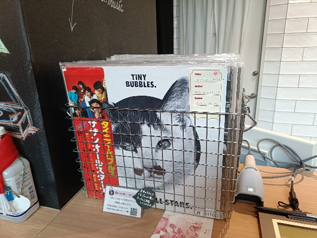 f:id:fuzikoblog:20241217215318j:image