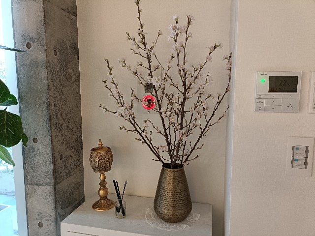 f:id:fuzikoblog:20250219194341j:image