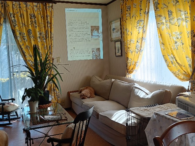 f:id:fuzikoblog:20250223200305j:image
