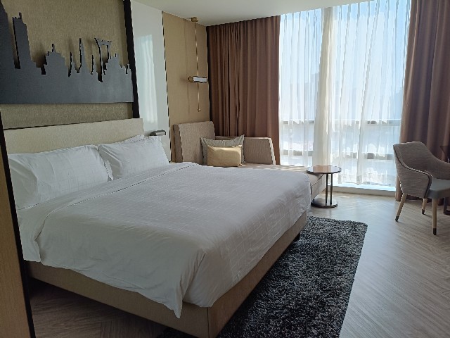 f:id:fuzikoblog:20250306101332j:image