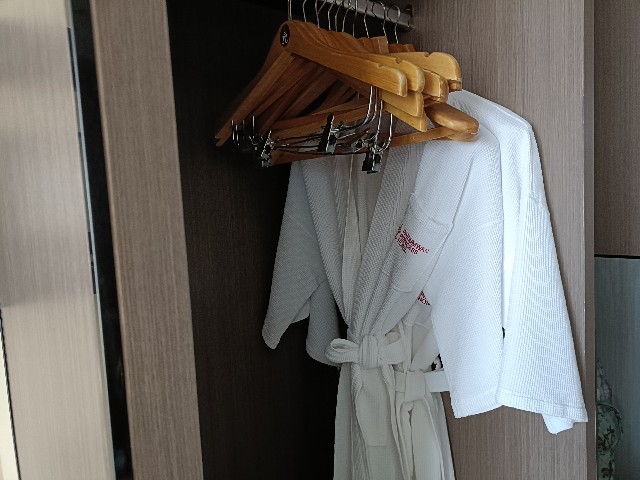 f:id:fuzikoblog:20250306101732j:image