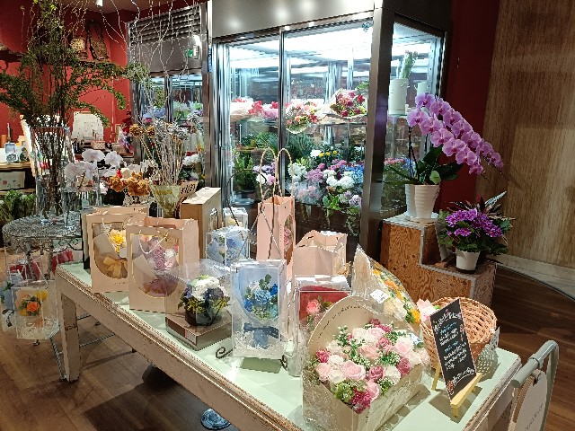 f:id:fuzikoblog:20250321163118j:image