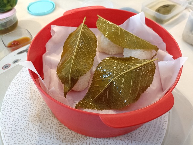 f:id:fuzikoblog:20250328215532j:image
