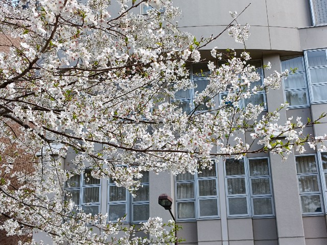 f:id:fuzikoblog:20250405202420j:image
