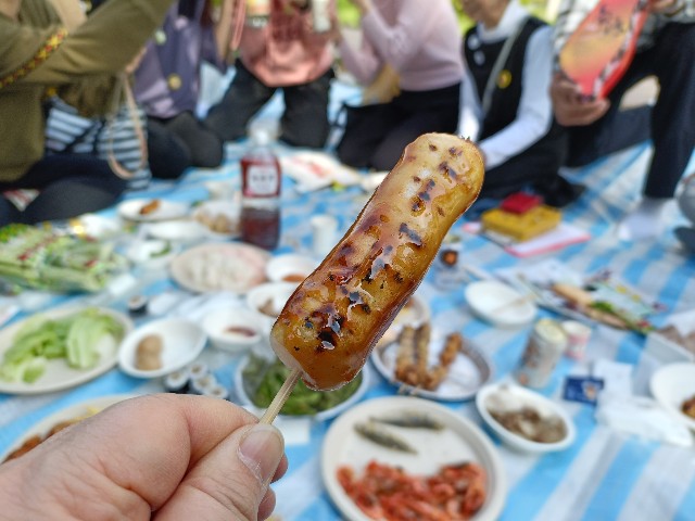 f:id:fuzikoblog:20250405203319j:image