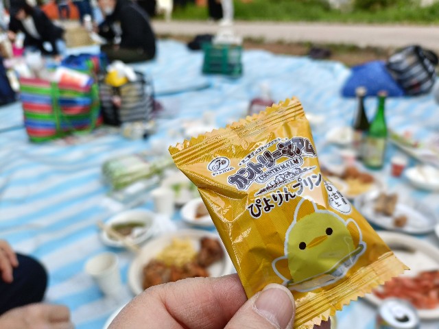 f:id:fuzikoblog:20250405203604j:image