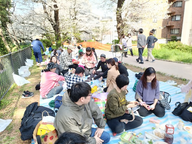 f:id:fuzikoblog:20250405204514j:image