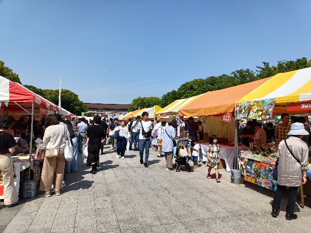 f:id:fuzikoblog:20250509162807j:image