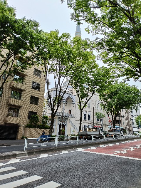 f:id:fuzikoblog:20250514164435j:image