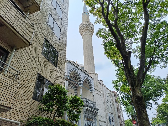 f:id:fuzikoblog:20250514164454j:image