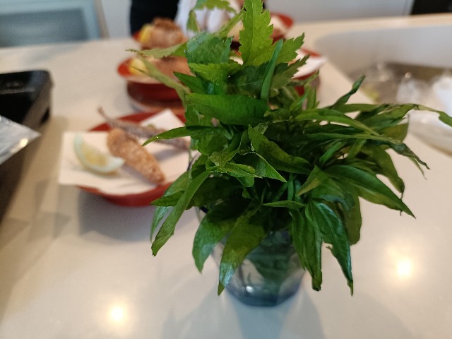 f:id:fuzikoblog:20250529195321j:image