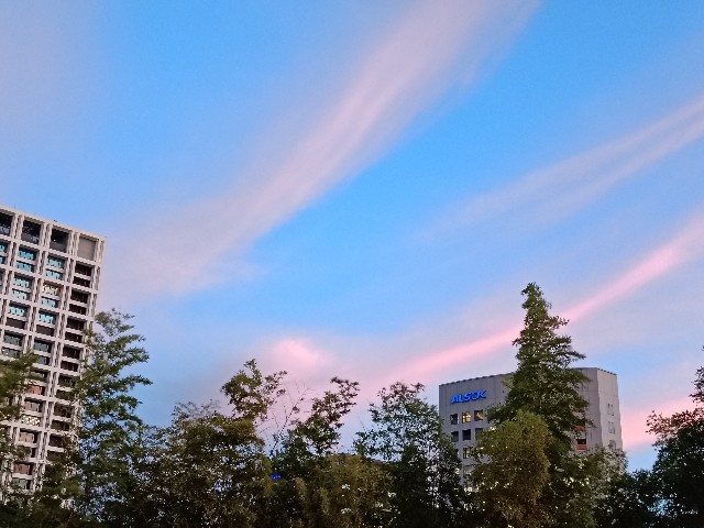 f:id:fuzikoblog:20250719222935j:image