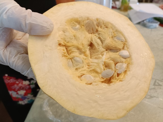 f:id:fuzikoblog:20250731180618j:image