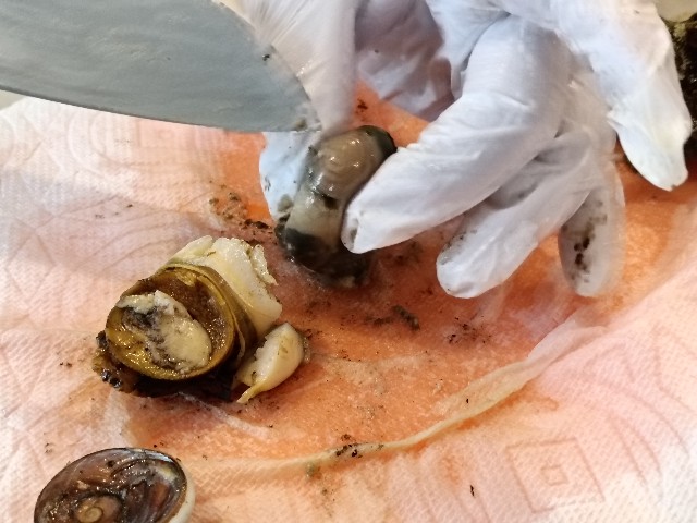 f:id:fuzikoblog:20250731180744j:image