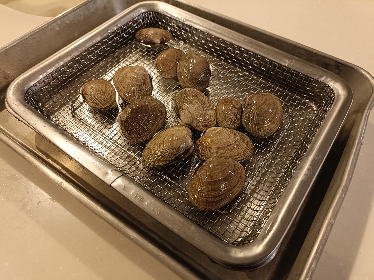 f:id:fuzikoblog:20260226202353j:image