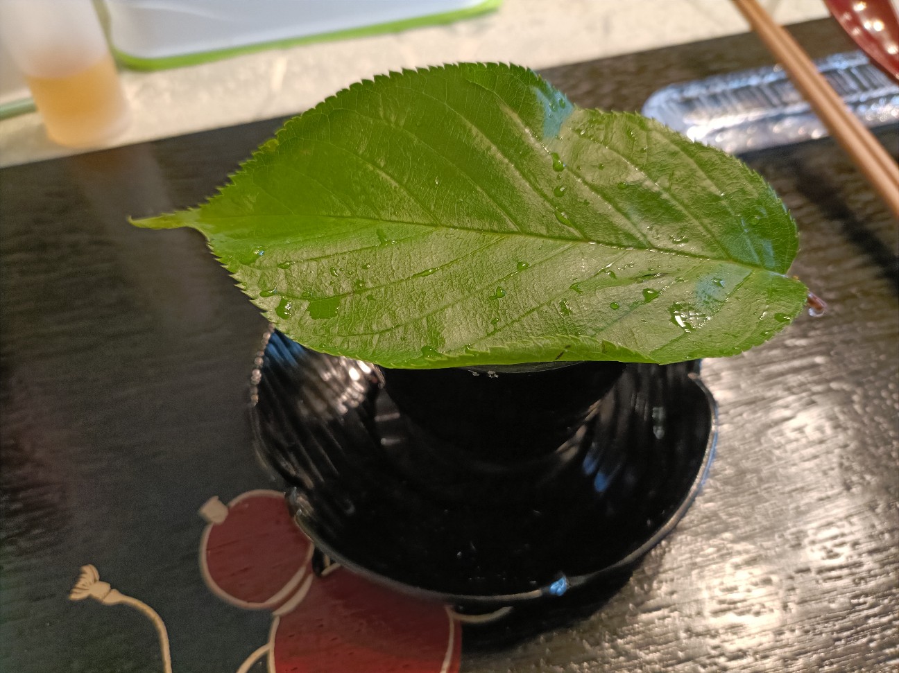 f:id:fuzikoblog:20260328184822j:image
