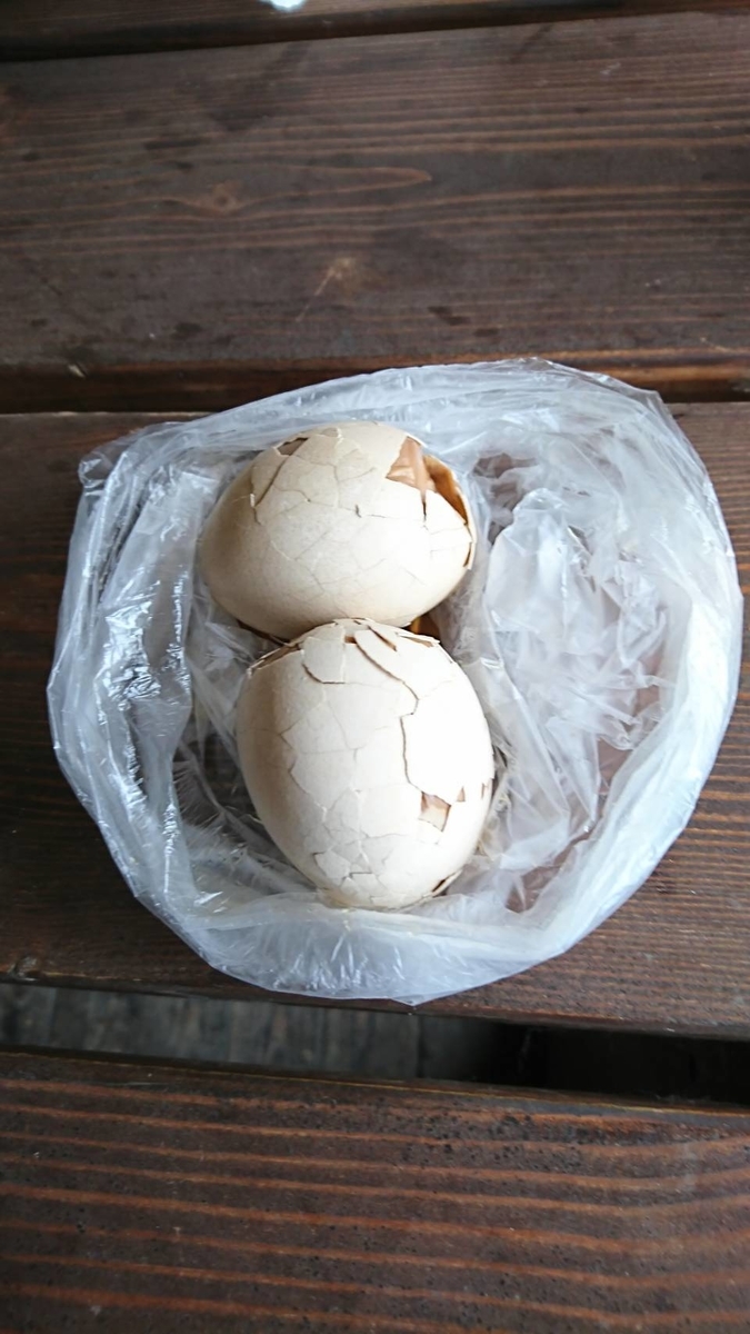 f:id:fuzuki-satuki:20190601182809j:plain