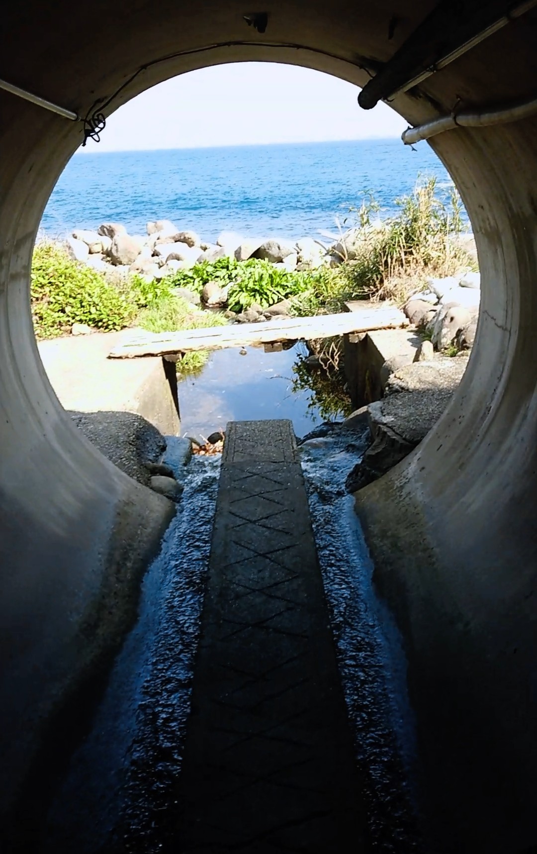 f:id:fuzuki-satuki:20190622174826j:image f:id:fuzuki-satuki:20190622174826j:image