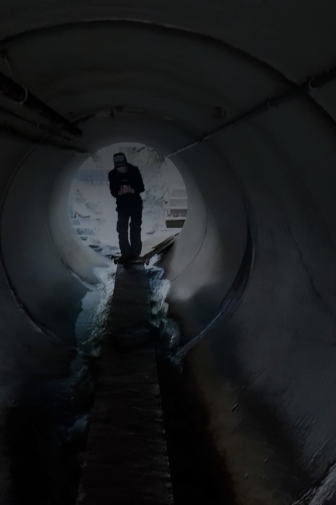 f:id:fuzuki-satuki:20190622175327j:image f:id:fuzuki-satuki:20190622175327j:image