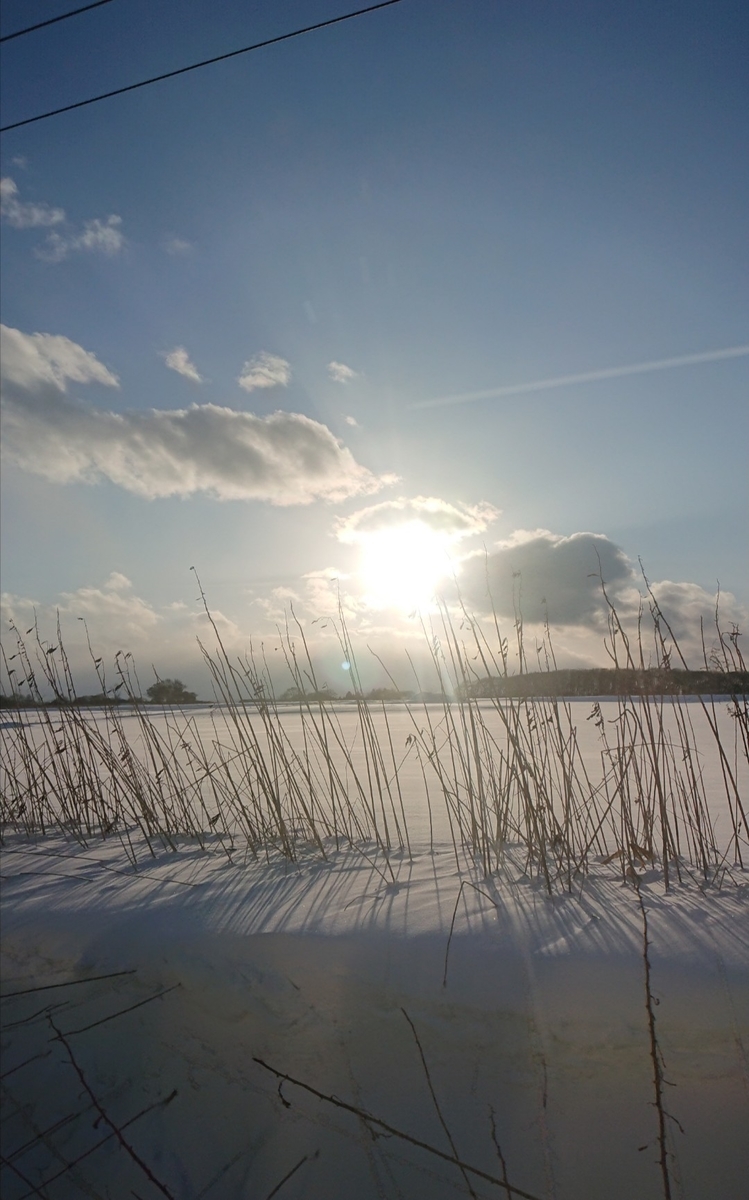 f:id:fuzuki-satuki:20190627100745j:plain f:id:fuzuki-satuki:20190627100745j:plain