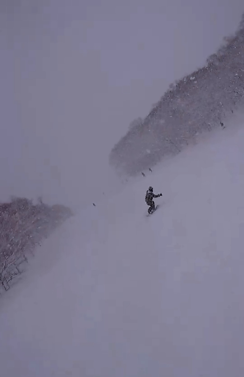 f:id:fuzuki-satuki:20190627103303j:plain f:id:fuzuki-satuki:20190627103303j:plain