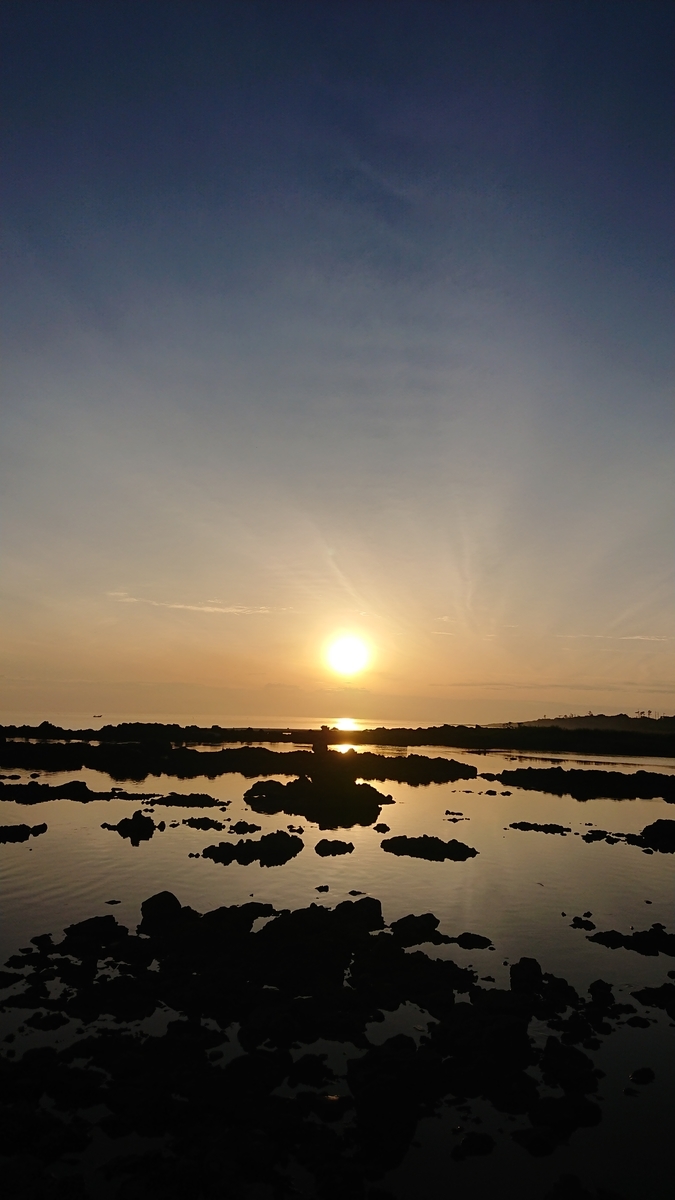 f:id:fuzuki-satuki:20190706151528j:plain f:id:fuzuki-satuki:20190706151528j:plain