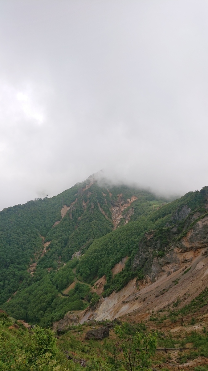 f:id:fuzuki-satuki:20190723222410j:plain