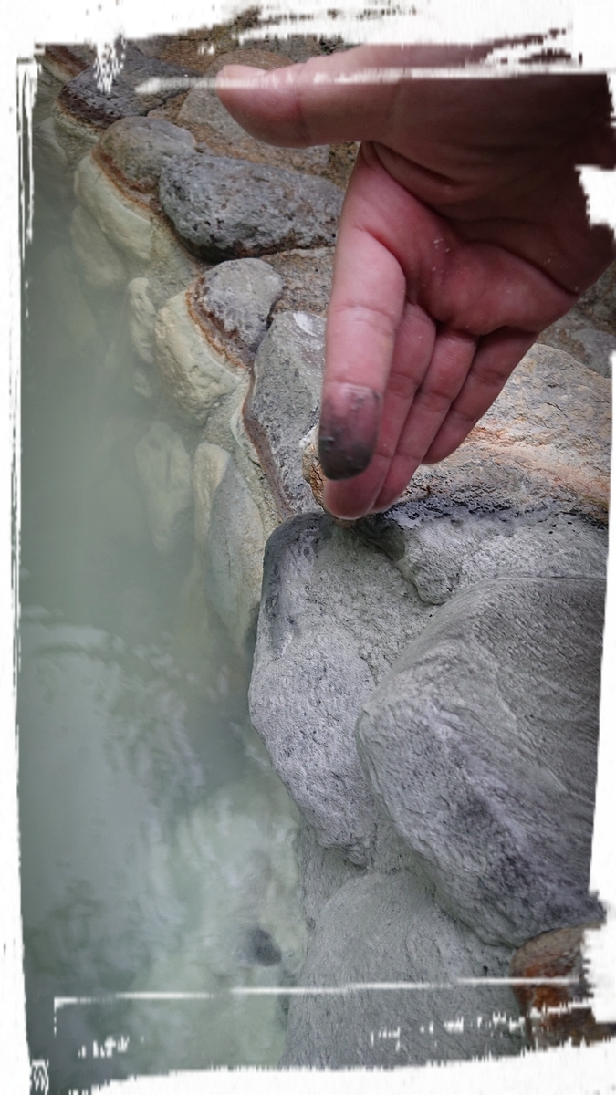 f:id:fuzuki-satuki:20190724235308j:plain f:id:fuzuki-satuki:20190724235308j:plain