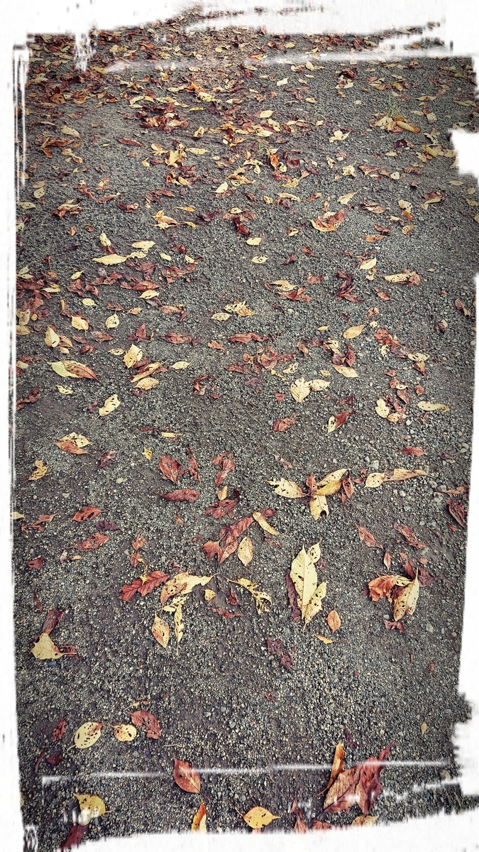 f:id:fuzuki-satuki:20190924190616j:plain