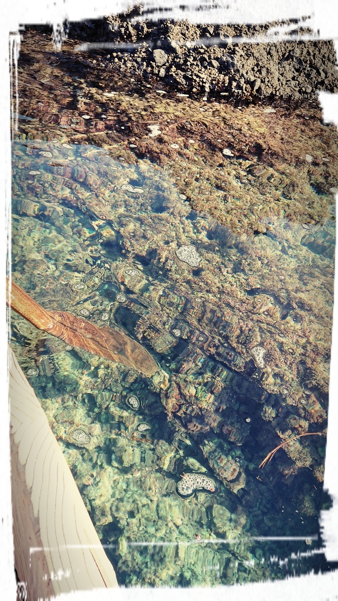 f:id:fuzuki-satuki:20191014023926j:plain